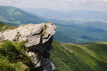 Wall Mural - image of a mountain range, forest and lawns