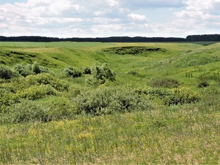 Sticker - landscape with green field and blue sky