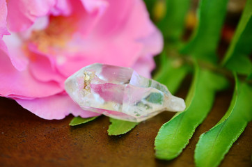 Wall Mural - Clear quartz point on wood table in natural lighting. Woman's hand - High Quality Clear Quartz healing stone, One of a Kind Quartz Point, great for a reiki healing! Unique formations, Quartz Scepter.