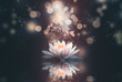 abstract background with lotus flowers