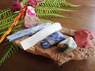 Wall Mural - Variety of healing crystals on a table, collection of minerals on display. Natural lighting, macro photography. Collection of colorful crystals, Crystal Tree statue.  Table with crystals and plants. 