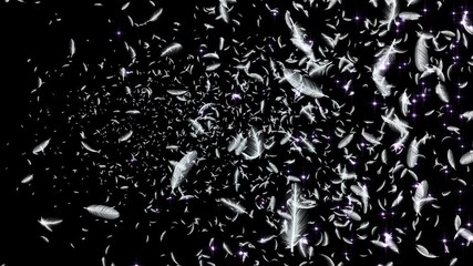 Wall Mural - Feather fluffy and Lens Flares Particles background