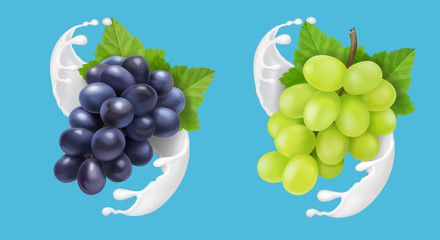 Grape in milk splash or ice cream. Red and green grapes branch in yogurt flow illustration for advertising