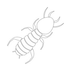 Canvas Print - Termite silhouette. Outline. Vector icon.