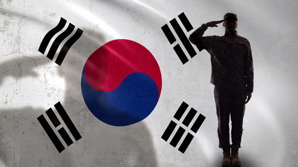 Korean soldier silhouette saluting against national flag, military operation