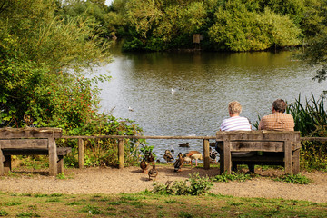 Wall Mural - Aged couple sitting on rustic wooden bench near lake with ducks