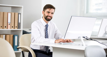 Wall Mural - Portrait of businessman working in an office