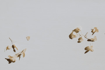 Wall Mural - Neutral floral composition with dry flower petals on grey background. Flat lay, top view florist minimal nature concept. Copy space template.