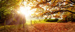 Herbstliche Landschaft mit Bäumen, Wald und Wiesen im strahlenden Sonnenschein