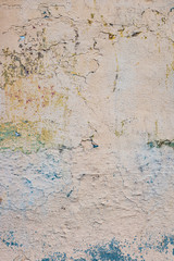 Wall Mural - Natural grunge stucco concrete wall texture backdrop surface