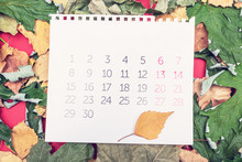 Fallen Leaves, The Calendar Lies On The Fallen Leaves. The Concept Of The Fall Holidays