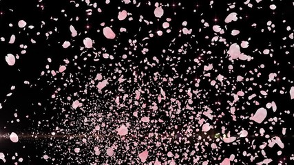 Wall Mural - cherry blossom sakura petals and lens flares particles background