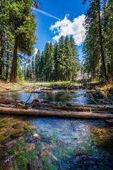 Wall Mural - Nort Fork Little Butte Creek