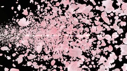 Wall Mural - Cherry Blossom Sakura Petals and Lens Flares Particles background
