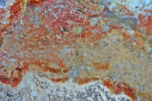 Close Up Of A Polished Petrified Wood Specimen