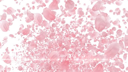 Wall Mural - Cherry Blossom Sakura Petals and Lens Flares Particles background