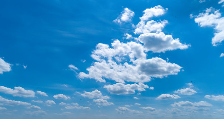 Wall Mural - White and Dark Clouds Floating in the Bright Blue Skies