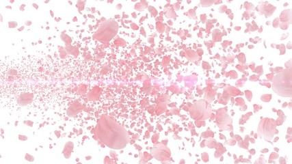 Wall Mural - Cherry Blossom Sakura Petals and Lens Flares Particles background
