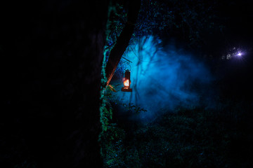 Wall Mural - horror halloween concept. burning old oil lamp in forest at night. night scenery of a nightmare scen