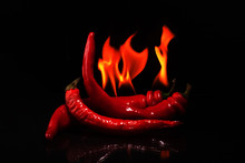 Red Hot Chili Spice "burning Peppers On A Black Background"