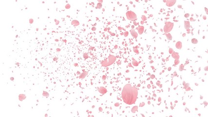 Wall Mural - Cherry Blossom Sakura Petals and Lens Flares Particles background