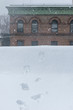 Boot-prints leading toward the edge of a rooftop during heavy snowfall