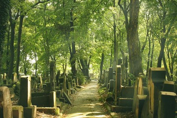 Canvas Print - cementerio