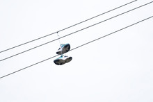 Trainers Hanging On Overhead Cable Power Line