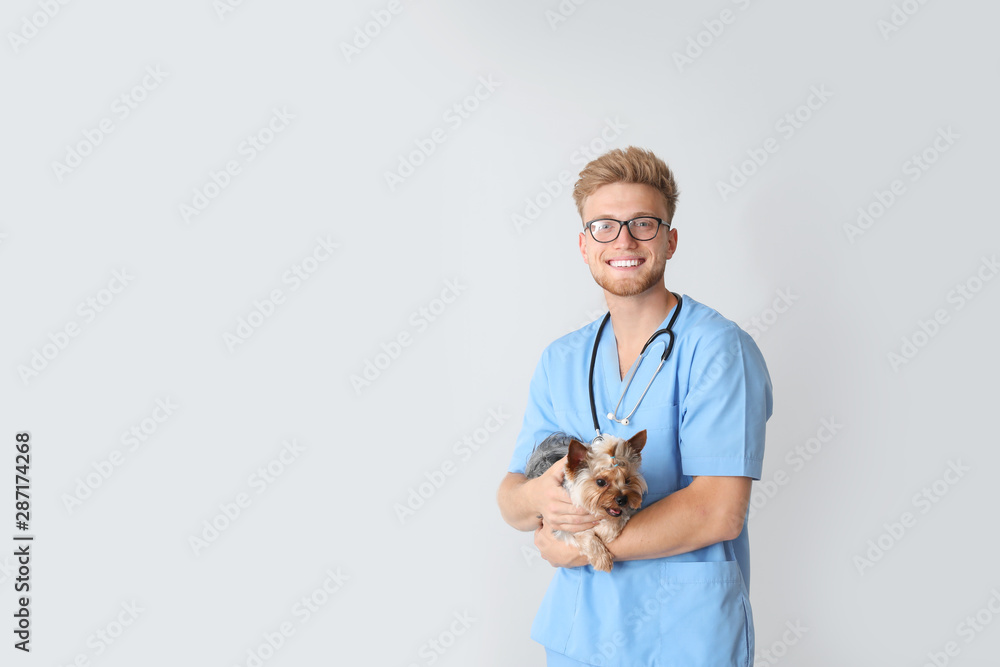 Veterinarian with cute dog on light background