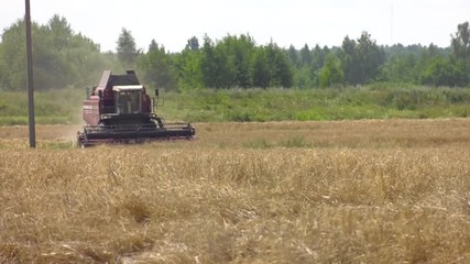 Wall Mural - Combine harvester in action harvesting wheat. Combine harvester agriculture machine harvesting golden ripe wheat field. Agriculture