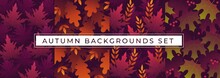 Autumn Backgrounds Set With Multicolored Leaves Vector Illustration. Collection Consists Of Fall Foliage Flat Design For Shopping Sale Or Promo Poster And Frame Leaflet Or Web Banner And Social Media