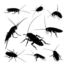 Set Of Cockroach Logo Design Vector Illustration. Cockroach Design Template