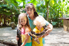 Kids Hold Python Snake At Zoo. Child And Reptile.