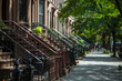 Scenic view of a classic Brooklyn brownstone block with a summer greenery along the stoop balustrades in New York City