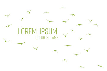 Wall Mural - silhouette of a flock of flying birds
