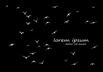 Wall Mural - silhouette of a flock of flying birds
