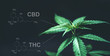 Leinwandbild Motiv Marijuana leaves with cbd thc chemical structure