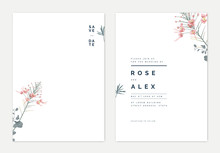 peacock-invitation-template-free-stock-photo-public-domain-pictures
