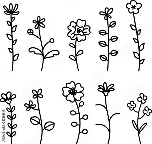 シンプルな花の線画セット Stock Vector Adobe Stock