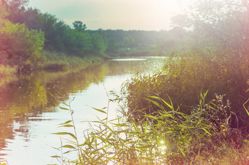 Poster - Summer river