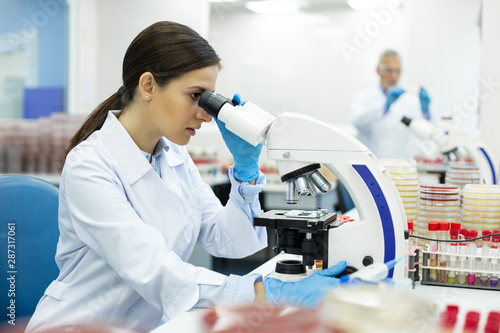 Cuadros en Lienzo Attentive brunette female person doing blood analysis