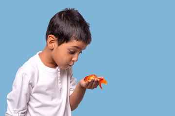 Studio shot of a boy holding a goldfish in his hand on a blue background.  He bowed his head to the fish and makes a wish.   Children's fantasies.