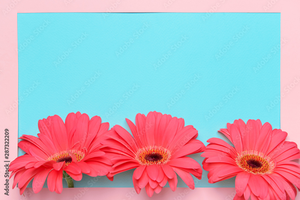 Paper frame and beautiful gerbera flowers on color background
