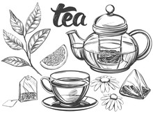 Tea Set Isolated On White Background Hand Drawn Vector Illustration Realistic Sketch