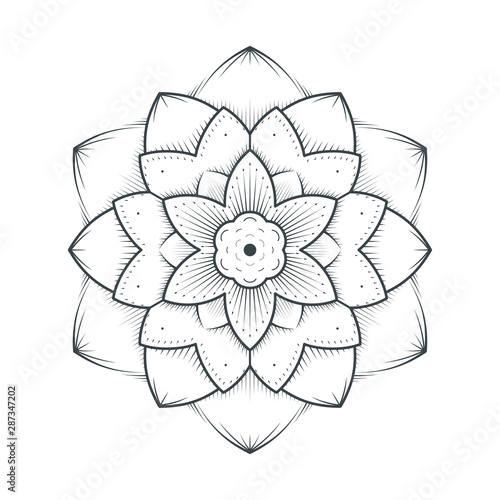 Petals flower mandala line art lace on white background. Vector illustration