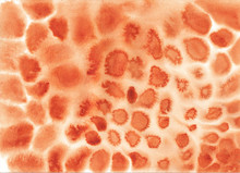 Orange Brown Watercolor Animal Print On White Paper. Chaotic Spots Are Drawn By Hand On A Horizontal Sheet Of Paper. Can Be Used For A Zine Collage, Banner, Web Background, Poster, Postcards