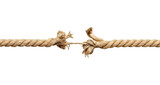 Fototapeta  - string rope cord pressure broken stress