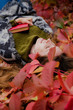 © yolya_ilyasova - Girl lying among colorful ivy foliage in autumn and holding a paper book with red cover