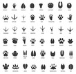 Animal tracks. Footprints of swan, llama and donkey, cat. Owl, dog and mouse, dove and zebra paw prints isolated vector set. Illustration track wild, bear and wolf, print black trail crocodile gazelle