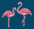 Glowing flamingos on a dark blue background